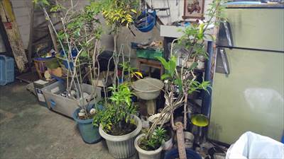 43055705_544122332702455_3227099939288907776_n_R