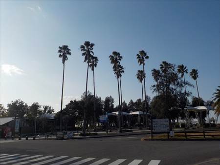 DSCN2078_R