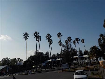 DSCN2075_R
