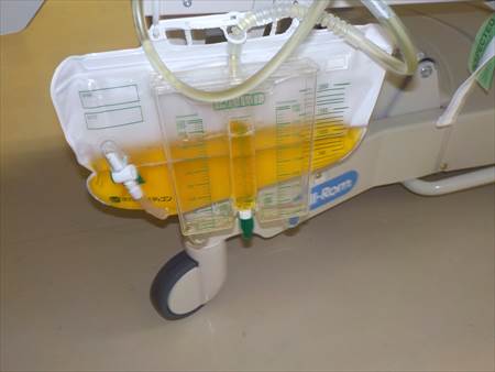 父・尿・１２３_R