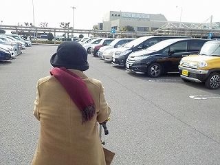 52964866_617723642008990_6439421836710117376_n