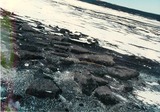 fuji_3