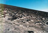 fuji_1