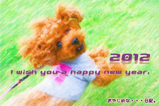 �褦�䤯�����ޤ�����������Ū�ʡ�