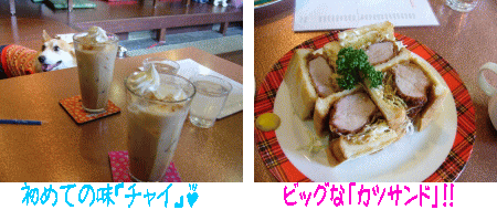¥é¥ó¥Á¢ö