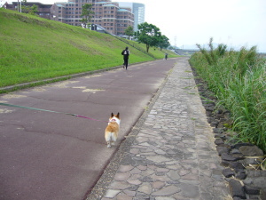 ¤ª»¶Êâ¢ö