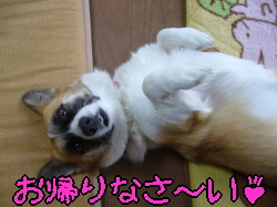 ¤ªµ¢¤ê¤Ê¤µ¤¤