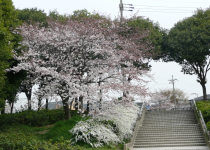 ºù