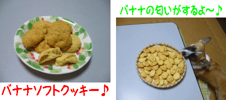 ¥Ð¥Ê¥Ê¥¯¥Ã¥¡¼