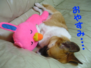 ¤ª¤ä¤¹¤ß