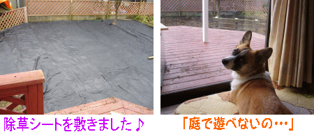 ½üÁ𥷡¼¥È