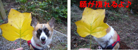 Â礤ÊÍդäÑ