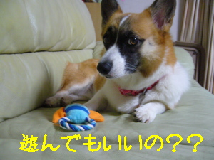 Í·¤ó¤Ç¤¤¤¤¤Î¡©