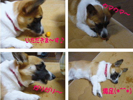 ¥¥ó¥«¥ó¢ö