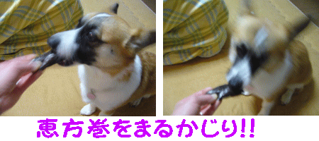 ¤«¤Ö¤ê¤Ä¤