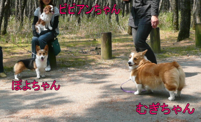 ¥¹¥ê¡¼¥·¥ç¥Ã¥È
