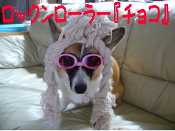 ¥í¥Ã¥¯¥ó¥í¡¼¥é¡¼