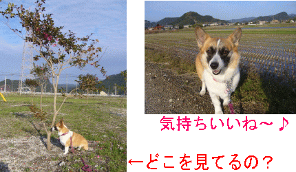 Ìڤβ¼¤Ç¡¦¡¦