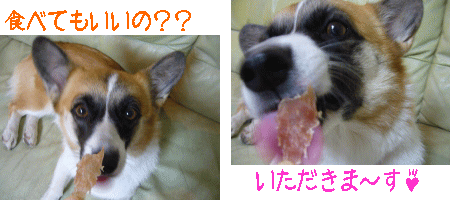 ¤¤¤¿¤À¤¤Þ¤¹