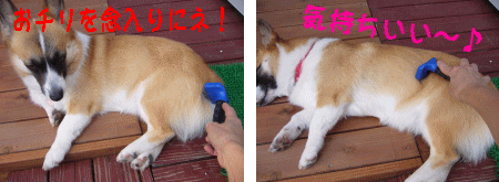 ¥Õ¥¡¡¼¥ß¥Í¡¼¥¿¡¼£²