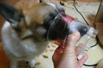 04