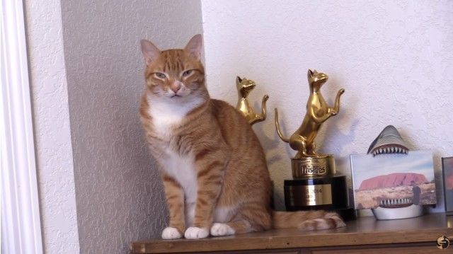 urcatispossessed10_e