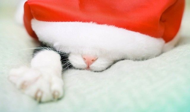 Who-said-its-Christmas_e