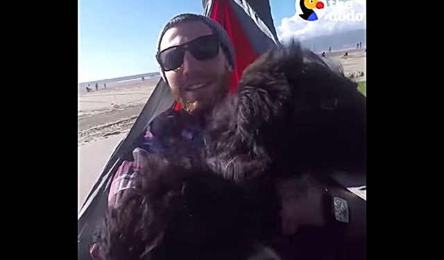 puppies8