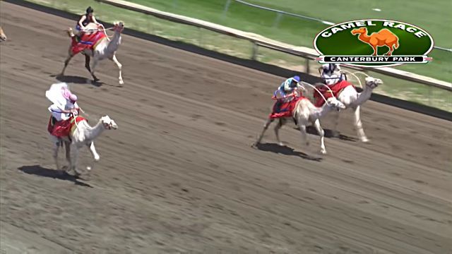 CanterburyPark3