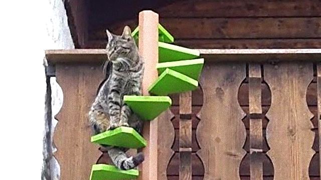 その発想もらった 創意工夫に満ち溢れた 猫サマの世界へと続く階段を見てみよう マランダー