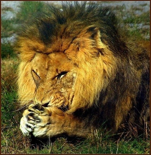 prayer14_e