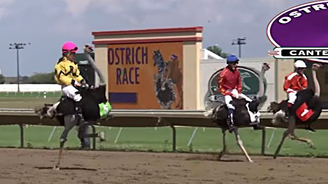 CanterburyPark0