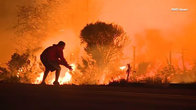 wildfire3