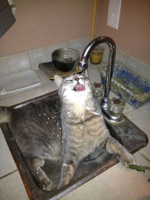 sink10_e