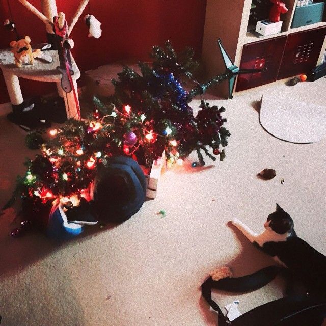 XX-animals-destroying-Christmas-4__605_e