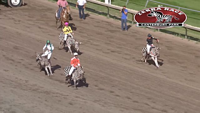 CanterburyPark6