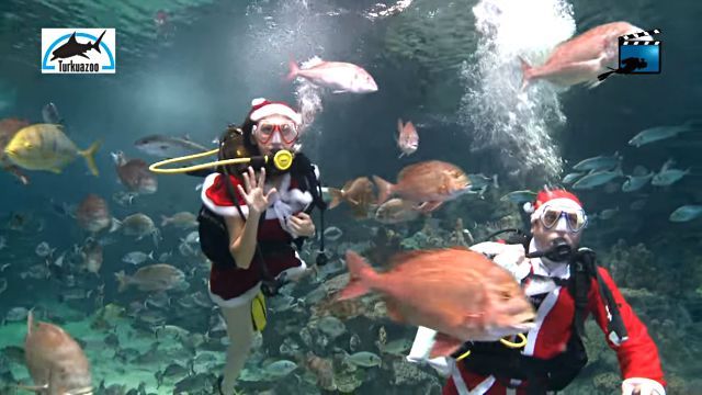 divingsanta3