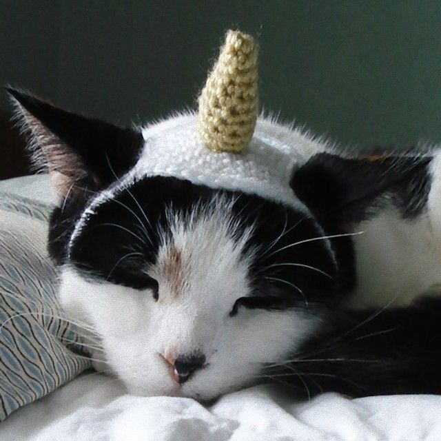 unicorn4_e