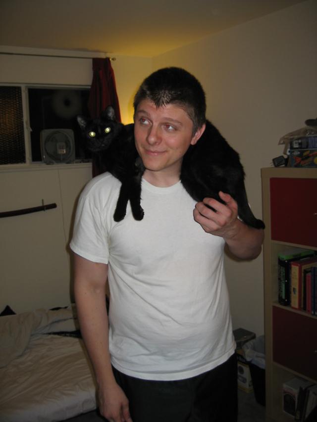 cats12ok