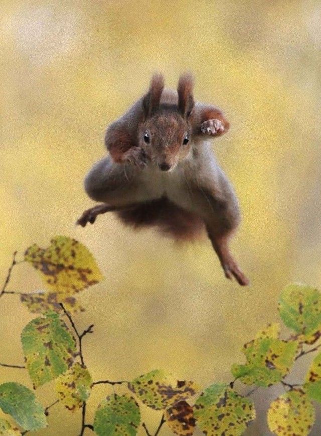 jump6_e