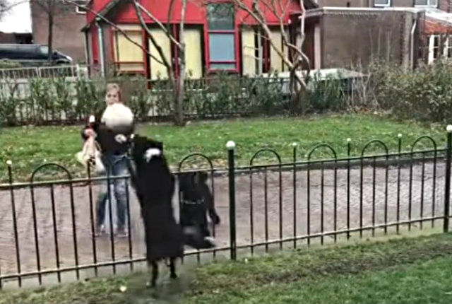 dogball2