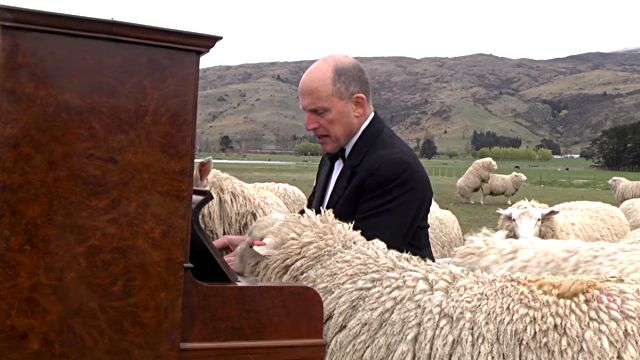 concertforthesheep1