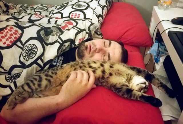 people-who-didnt-want-cats-16_e