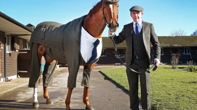 horse-1_e