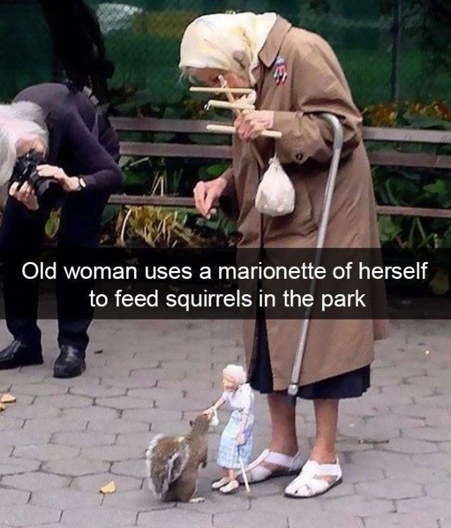 funnyanimals23_e