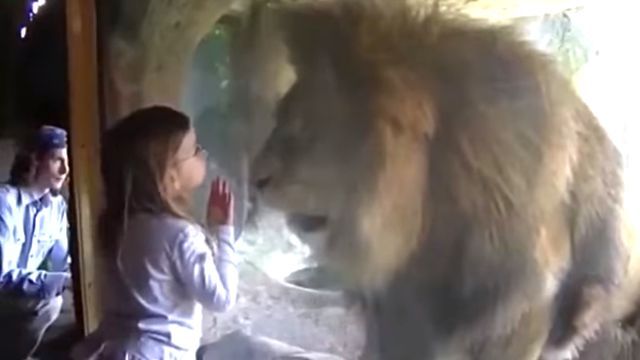 lionandgirl2