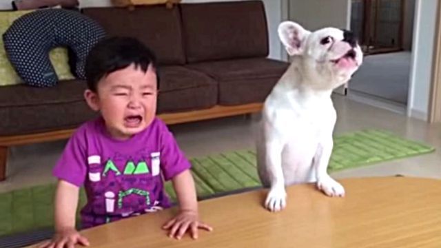dogeatsbabysfood4