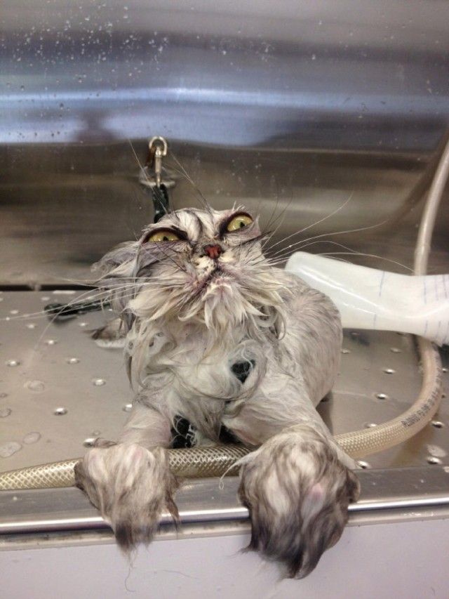 sink7_e
