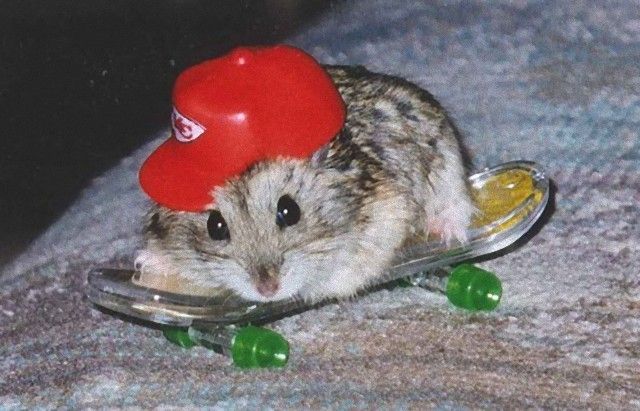 hat9_e