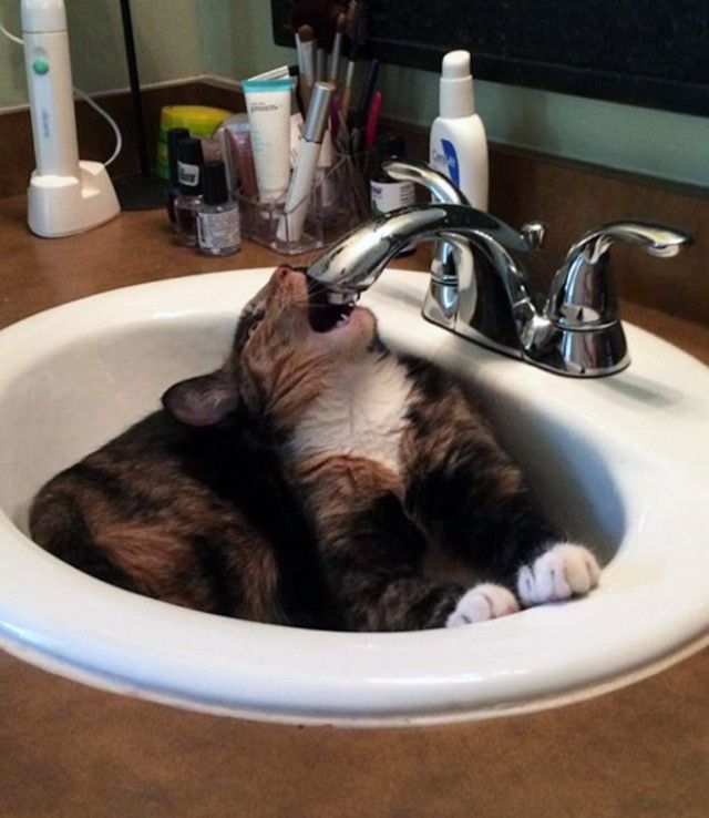 sink8_e